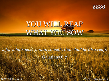YOU WILL REAP WHAT YOU SOW