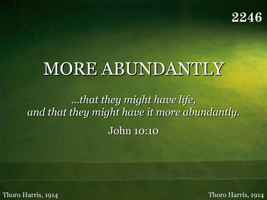 MORE ABUNDANTLY