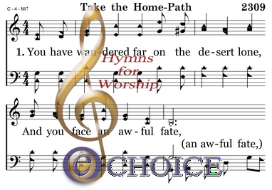TAKE THE HOME-PATH - Image 2