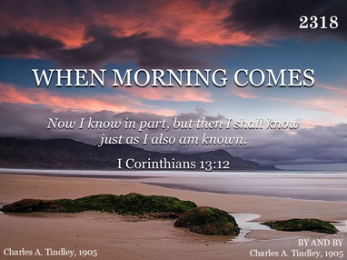 WHEN MORNING COMES