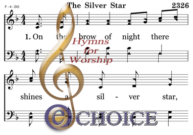 THE SILVER STAR - Image 2